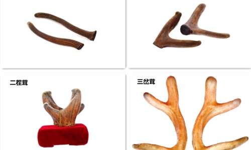 白茶会不会解药效-【白茶有什么好处和功效】白茶有什么好处和功效 - 白茶有解药的功效吗网