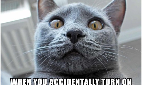 【白茶有什么好处和功效】白茶有什么好处和功效 - 白茶有解药的功效吗网