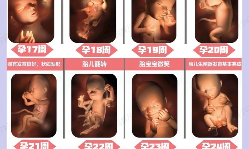 【白茶有什么好处和功效】白茶有什么好处和功效 - 白茶有解药的功效吗网